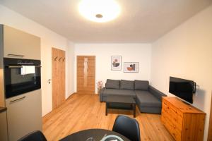 TV a/nebo společenská místnost v ubytování Ferienapartments 31erHaus