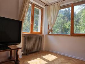 a living room with a flat screen tv and a window at Evergreen Condo in Braşov
