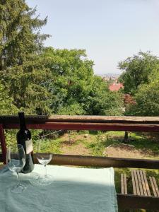 a table with a bottle of wine and two glasses at Evergreen Condo in Braşov
