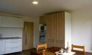 Kuchyň nebo kuchyňský kout v ubytování Apartmány Stará Voda
