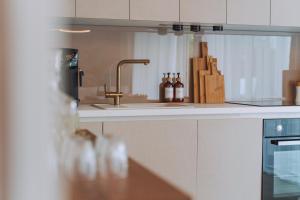Kuchyň nebo kuchyňský kout v ubytování Iris Croatica K - superior apartment with shared pool, awarded BEST APARTMENT IN CROATIA 2024