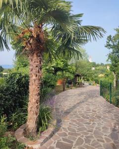 a palm tree on a cobblestone walk way at Secret Garden Villa in Matulji