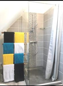 La salle de bains est pourvue d'une douche et de serviettes colorées. dans l'établissement Gîte de charme Le 14 La Bruyère. Chez Sophie., à Pouillé