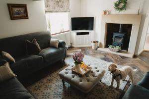 a living room with a dog standing in front of a fireplace at Swallow Cottage, Bakewell in Bakewell
