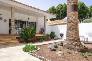 una palmera delante de una casa en Casa Las Peras, La Laguna, en La Laguna