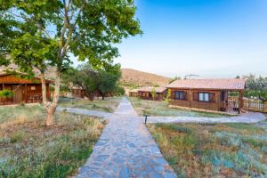 un camino que conduce a una casa en un campo en Aldea Los Odres - Cabañas de Madera de 1ª con Piscina Privada y BBQ en la puerta, en Moratalla