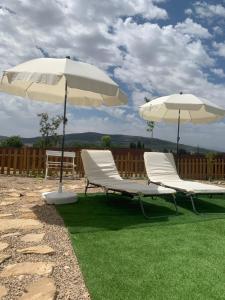 dos sillas y dos sombrillas sentadas en el césped en Vivienda rural Vega del Guadalquivir, en Villacarrillo