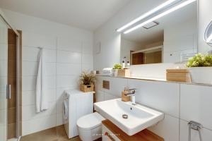 bagno con lavandino, servizi igienici e specchio di Marina Sunset East a Olpenitz
