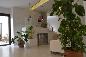 uma sala de estar com vasos de plantas e uma lareira em Hotel La Vera Cruz em Caravaca de la Cruz