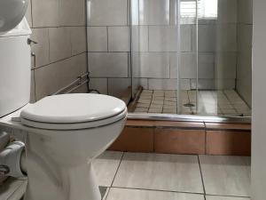 un baño con inodoro y ducha en Kingsworth inn Port Elizabeth, en Port Elizabeth 42 fotos más