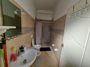 La salle de bains est pourvue d'un lavabo, de toilettes et d'une douche. dans l'établissement Modern & Spacious 3 bedroom First Floor Apartment/Villa, à Tirana