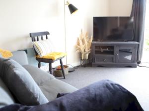 salon z kanapą i telewizorem z płaskim ekranem w obiekcie Pass the Keys Pet friendly Garden flat in Carmarthen w mieście Carmarthen