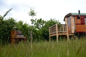 Ein Haus und ein alter Truck auf einem Feld in der Unterkunft La Roulotte de la Fay in Dompierre-les-Ormes