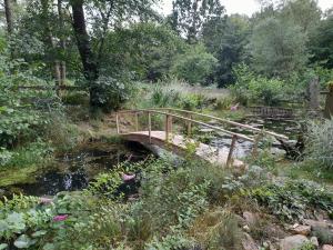 a wooden bridge over a stream in a garden at Glamping pod hradem in Česká Kamenice +5 photos