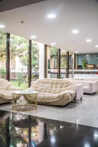Χώρος καθιστικού στο Hotel & MedSpa Siret