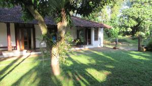 a house with a tree in the yard at Sagala Bungalow in Kalutara