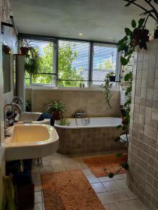 Et badeværelse på The Explorer's Hostel + 45 billeder