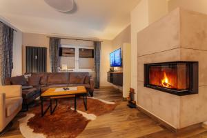 een woonkamer met een bank en een open haard bij Baude VI - Löwenbaude Braunlage in Braunlage