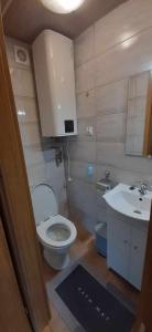 a small bathroom with a toilet and a sink at GAJÓWKA JAMNA NOCLEGI in Jamna