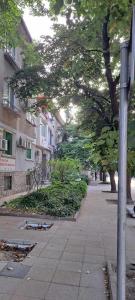 une rue avec des arbres et des bâtiments et un trottoir dans l'établissement ALANA Apartment, à Stara Zagora