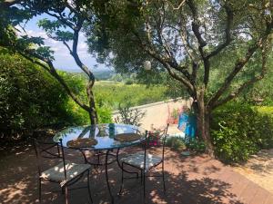 un tavolo e delle sedie sotto un albero di Mas Luis Alvarez a La Capelle-et-Masmolène