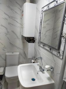 a bathroom with a sink and a toilet and a mirror at Paradise Apartment- Female Only in Bradford