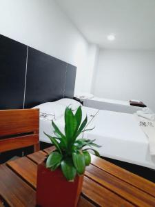 ein Schlafzimmer mit einem Bett und einer Topfpflanze auf einem Tisch in der Unterkunft Hotel Saint John in Medellín