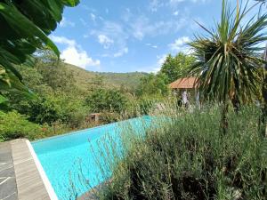 uma piscina no meio de uma floresta com uma casa em la magnanerie de camias em Saint-André-de-Majencoules