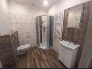 a bathroom with a shower and a toilet and a sink at Noclegi Sławomir Zabłocki Bydgoszcz/Nakło nad Notecią i okolice in Strzelewo