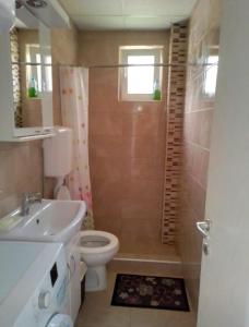 a bathroom with a toilet and a sink and a shower at Apartman SLADJANA Vrnjacka Banja in Vrnjačka Banja