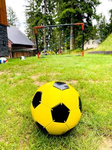Żółta i czarna piłka piłkarska siedząca na trawie w obiekcie Chata MartinSki Martinske hole w mieście Martinske Hole