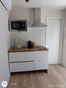 een keuken met een aanrecht met een wastafel en een magnetron bij LA CASA DE INVITADOS in Zaragoza