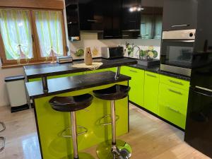 une cuisine avec des armoires vert citron et des comptoirs noirs dans l'établissement Apartmani G&E, à Delnice