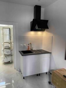 a kitchen with a sink and a counter top at le petit saint-amand in Rouen