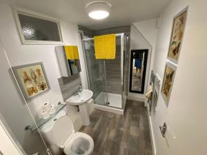 Un baño con inodoro, lavabo y ducha. en Seaside Flat With Sunny Garden., en Brighton & Hove 82 fotos más