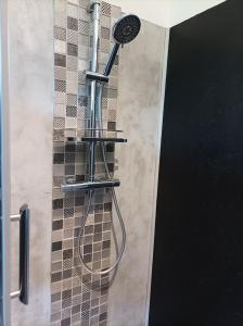 a shower in a bathroom with a shower head at SUITE SPA PRIVATIF extérieur 66 Perpignan Nord in Pia