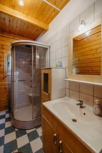 y baño con ducha y lavamanos. en Ferienhaus Entner, en Mörbisch am See