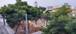 Billede fra billedgalleriet på Kristy i Artemida