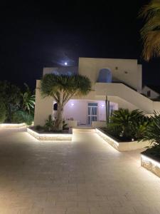 a building with a palm tree in front of it at night at Archiammare Sea in San Lorenzo