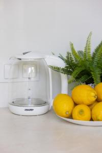 a food processor next to a plate of lemons at Racławicka Cozy Studio Apartment by Renters in Warsaw