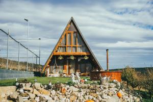 Billede fra billedgalleriet på Pensiunea Fata Viilor i Cergău Mare