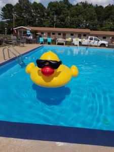 un canard en caoutchouc jaune dans une piscine dans l'établissement Sportsman's Lodge, à Fairfield Bay