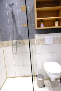 łazienka z prysznicem i toaletą w obiekcie Cosy studio à 2 pas de la plage w Nicei