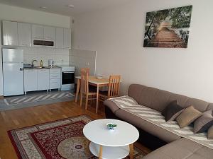 Kuchyň nebo kuchyňský kout v ubytování AGA Apartman Podgorica