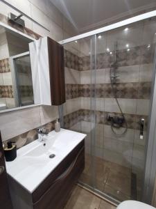 y baño con lavabo y ducha. en Apartman Cipi2, en Sombor