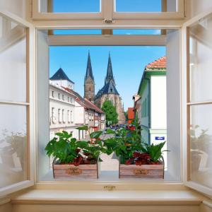 Fotografia z galérie ubytovania Bonviván Apartments v destinácii Vysoké Mýto