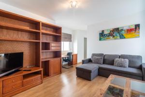 a living room with a couch and a flat screen tv at Flatguest Triana urbano in Las Palmas de Gran Canaria