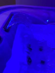 um reflexo de uma pessoa numa piscina de água azul em Maison avec jacuzzi em Orange