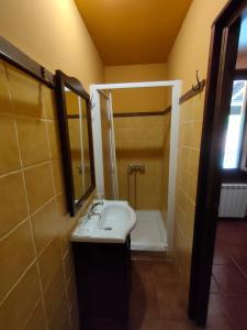 a bathroom with a sink and a shower at Hotel Doña Gaudiosa in Pola de Lena