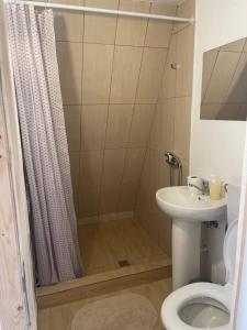 a bathroom with a shower and a toilet and a sink at Casa Ursu in Cârțișoara +79 photos